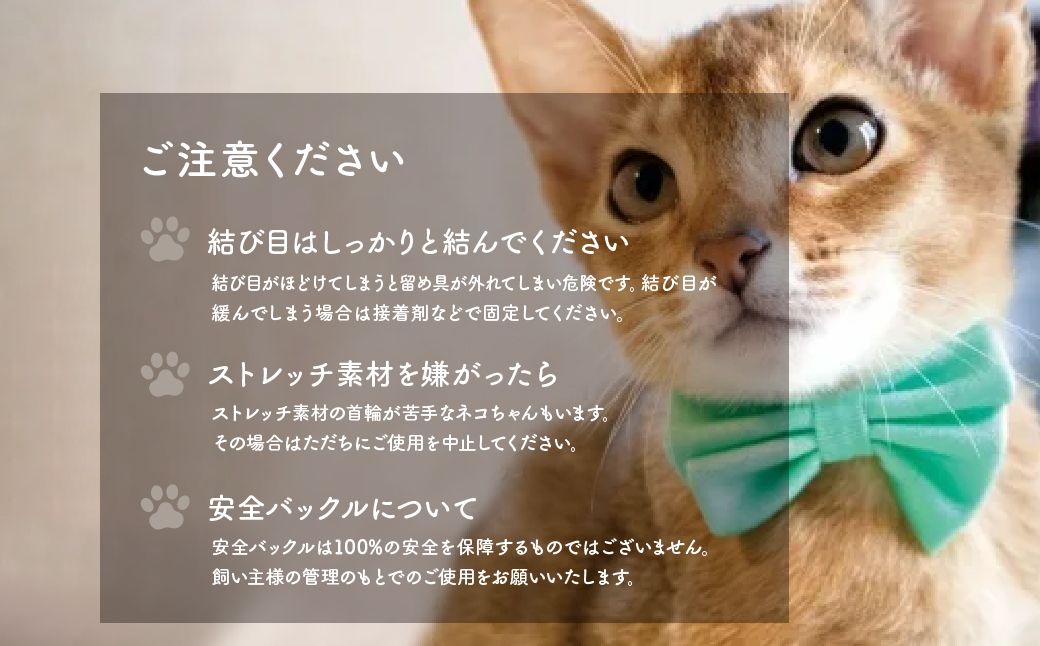 necono -Luce Ribbon- パステル【Emerald】