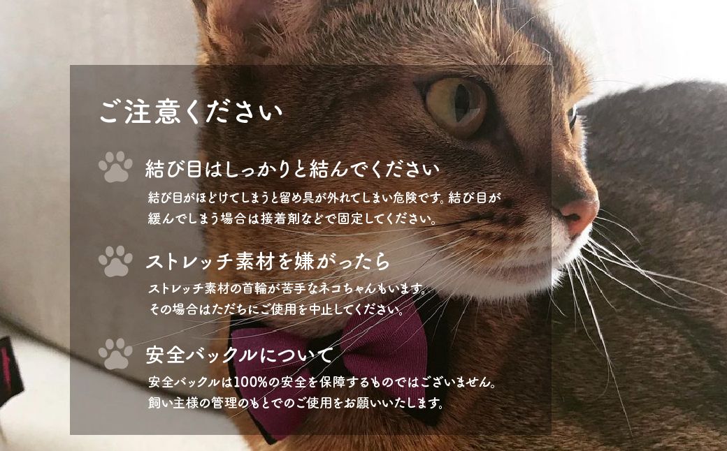 necono -Luce Ribbon- ダブル【レッドローズG】