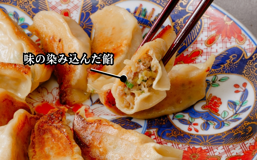 鳳春の冷凍生餃子60個セット