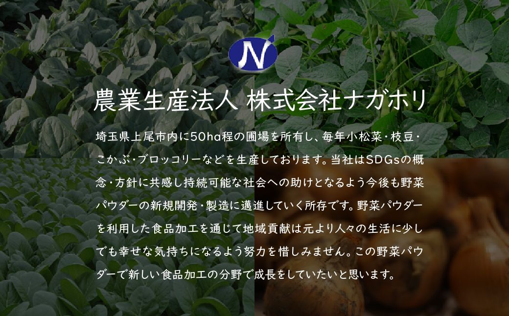 ナガホリの野菜パウダー 小松菜 3袋 1袋 100g