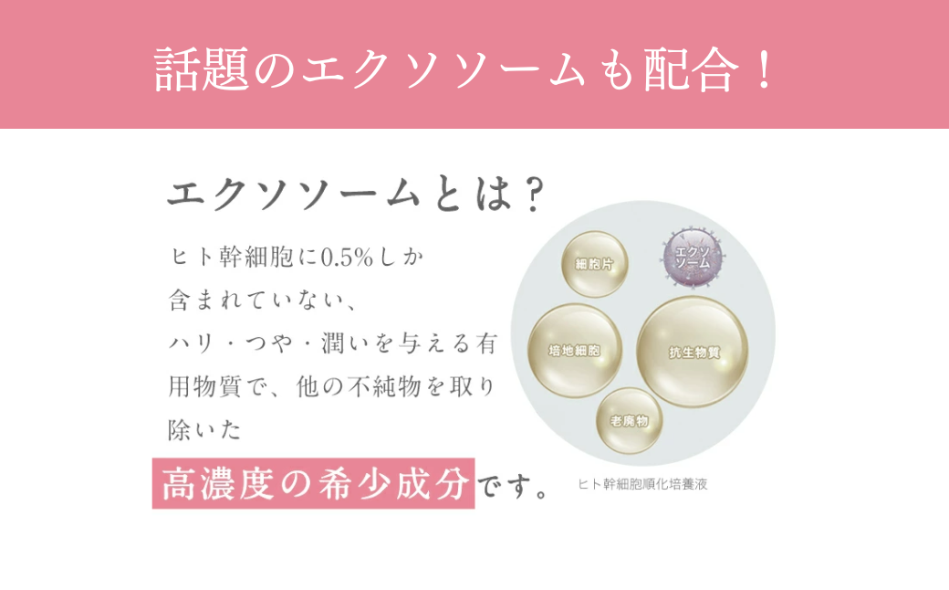 【3ヶ月定期便】SBC MEDISPA ステムウォッシュ 100g | SBC 湘南美容 湘南美容クリニック 洗顔料 定期便 埼玉県 上尾市