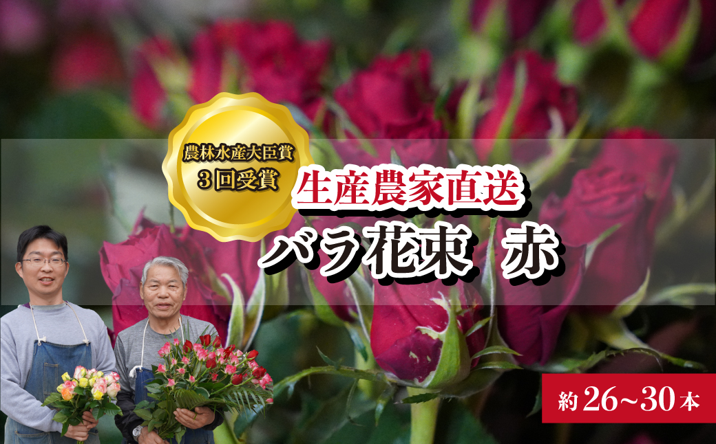 ＜配送エリア限定・着日指定必須＞ 生産農家直送 バラ花束 赤 約26～30本 | 埼玉県 上尾市 バラ 薔薇 ローズ 花束 植物 インテリア 誕生日 記念日 お祝い 母の日 父の日 ラッピング有り リボン付き 多品種 Mix花束 切り花 農林水産大臣賞 生花 プレゼント ギフト