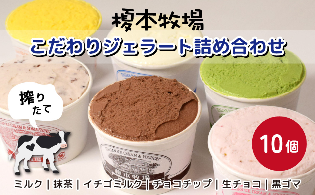 榎本牧場のこだわりジェラート詰め合わせ 10個セット