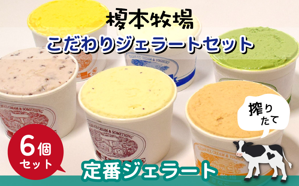 榎本牧場のこだわりジェラート 定番セット 6個 (ミルク、抹茶、イチゴミルク、生チョコ、カボチャ、小倉)