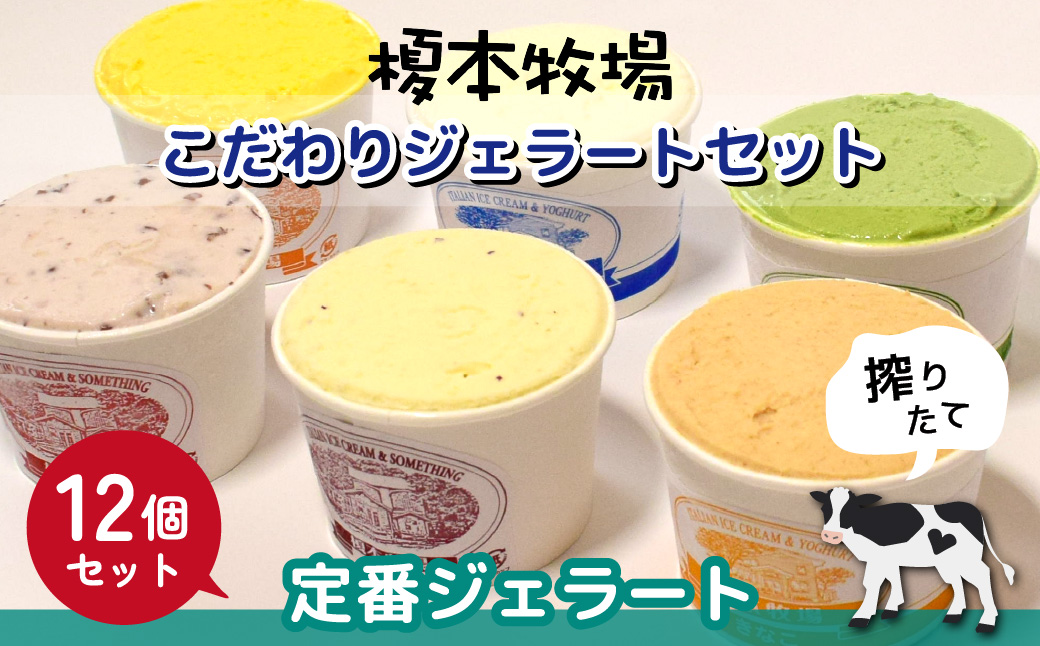 榎本牧場のこだわりジェラート 定番セット 12個 (ミルク、抹茶、イチゴミルク、生チョコ、カボチャ、小倉)
