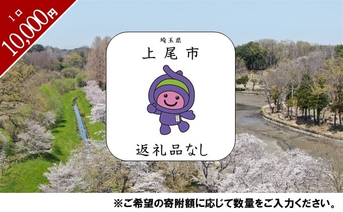 上尾市への返礼品無し寄付（10,000円分）| 埼玉県 上尾市応援 支援 プロジェクト 自治体支援 返礼品なし お礼の品なし 埼玉県 ふるさと支援 ふるさと応援 発展 自治体への寄付 寄付
