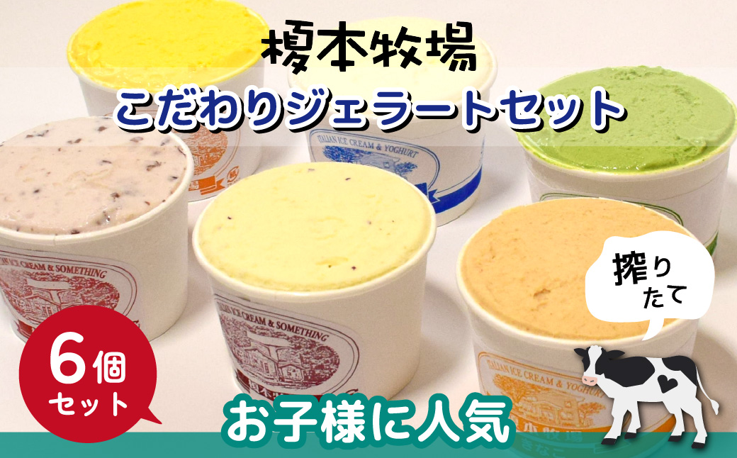 榎本牧場のこだわりジェラート お子様に人気セット 6個 (ミルク、チョコチップ、イチゴミルク、生チョコ、クッキー&ミルク、キウイミルク)