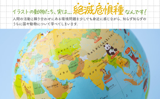 こども環境地球儀 ハトホル 球径20・