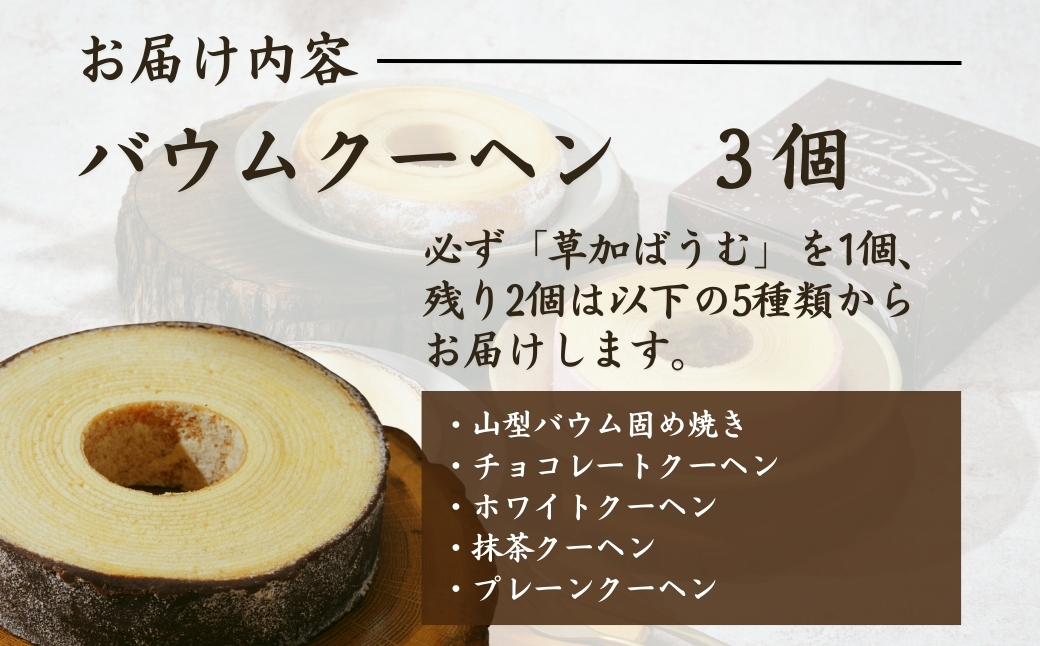 ＜バウムクーヘン＞ 草加ばうむ入り 3種のバウムクーヘン詰め合わせ