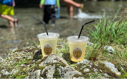 タンジールカフェ自家製レモネードシロップ 2本セット（500ml・300ml）｜埼玉県 草加市 フレッシュレモン 奄美 ザラメ はちみつ オリジナル シロップ カフェ 自家製 レモネードシロップ レモネード はちみつ お酒 割る 炭酸水 ワイン