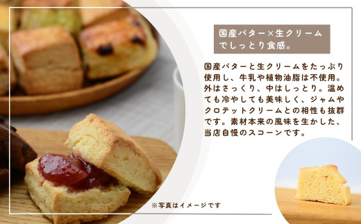 生クリームとバターのプレミアムスコーン 12個セット