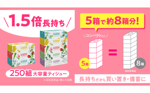 スコッティ ティシュー フラワーボックス 250組 60箱（5箱×12パック）【入金確認後、最短10日～3週間程度に発送予定】