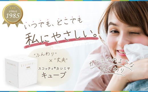 スコッティ カシミヤ キューブ 80組(1箱)×12箱