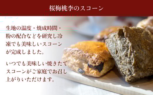 冷凍スコーン 5種15個セット(抹茶・チョコ・紅茶・スイート・ほうじ茶)