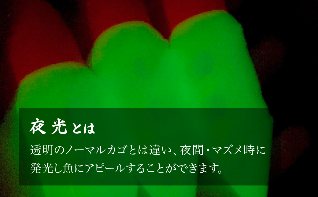 【Lサイズ】スーパーアジ丸 夜光