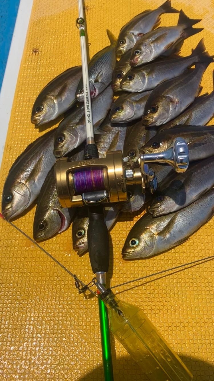 船釣り天秤(浦安アジ・イサキ35)2本セット