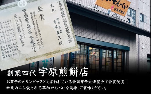 ＜3種合計22枚 ＞簡易包装 お煎餅詰め合わせセット