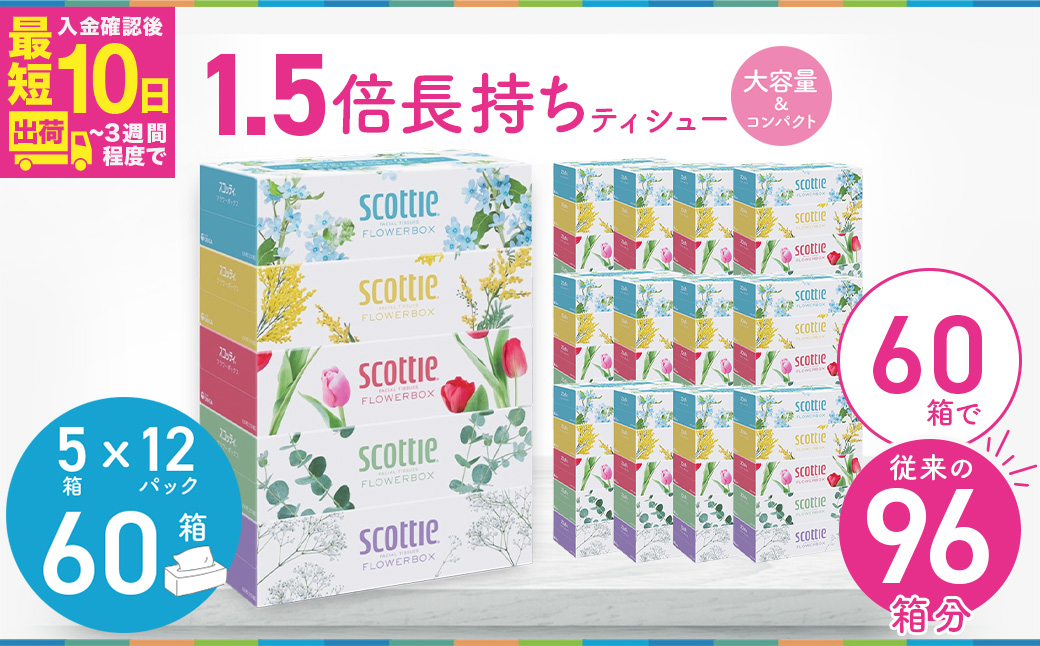 スコッティ ティシュー フラワーボックス 250組 60箱（5箱×12パック）【入金確認後、最短10日～3週間程度に発送予定】