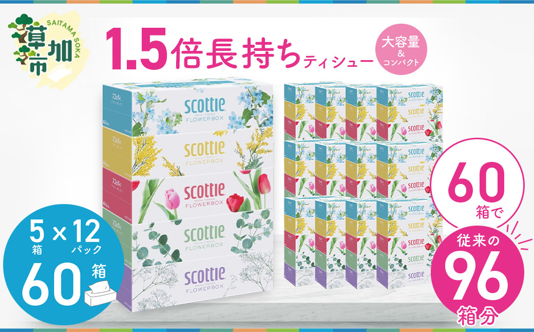 スコッティ ティシュー フラワーボックス 250組 60箱(5箱×12パック)[申込受付から30日〜最大75日程度で発送]