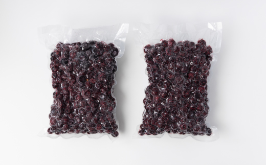 ブルーベリー冷凍　1.6kg【配送不可地域：離島】