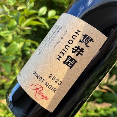 2023 赤ワイン　ピノ・ノワール100%　3本　貫井園のワイン