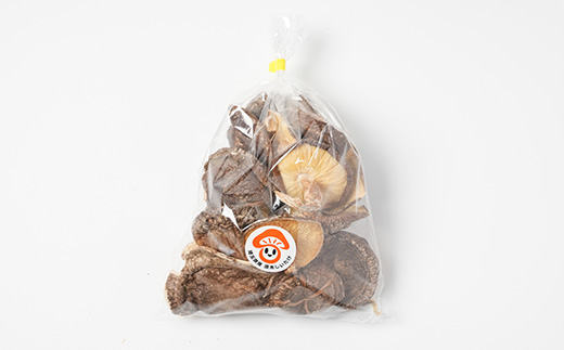 【訳あり】貫井園の原木干し椎茸　約90g×3パック　大きさ不揃い