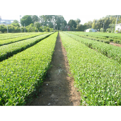 狭山茶で造った製品詰合せ(B)