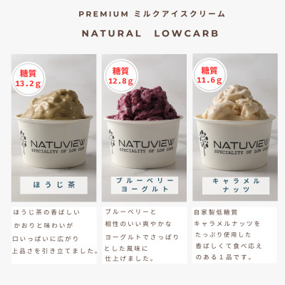 プレミアム　アイスクリーム(90ml×12個入)【配送不可地域：離島】