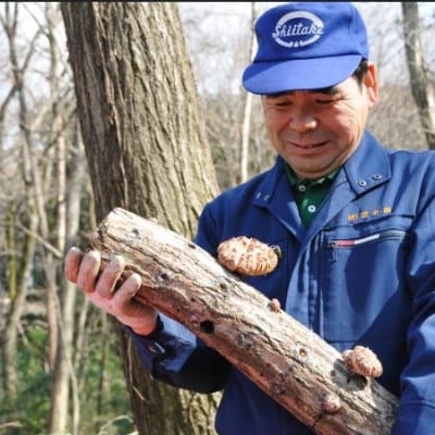 貫井園の原木干し椎茸　50g×3パック　肉厚どんこ