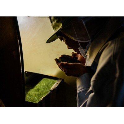 一煎パック入り 狭山茶ティーバッグ「霞川 ほうじ茶」