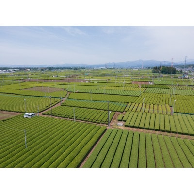 一煎パック入り 狭山茶ティーバッグ「霞川 煎茶」