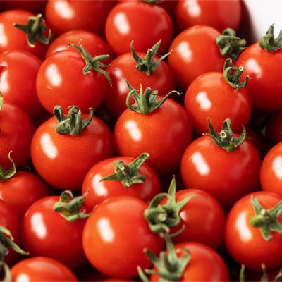 入間市産完熟ミニトマト「千果(ちか)」2kg【配送不可地域：離島】