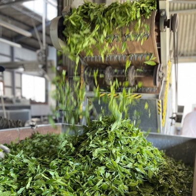 貫井園の深蒸し茶　リーフ　100g×6袋