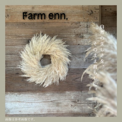 【ユーカリ農家が育てた】パンパスグラスのナチュラルリース　ドライフラワー