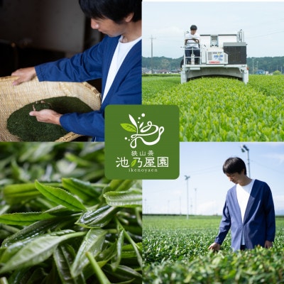 老舗農家の茶畑からの贈り物　深蒸し狭山茶A　(80g×3袋)