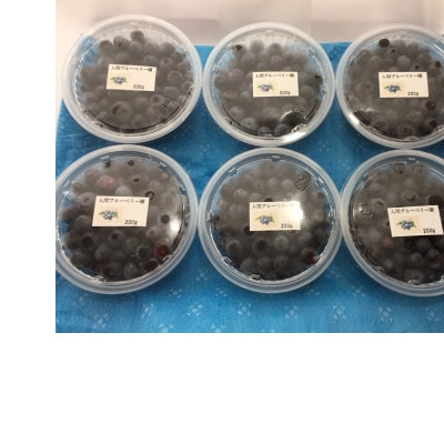 ブルーベリー生果実 1.6kg【配送不可地域：離島】