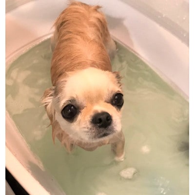 EM＆NEEM BATH  500ml