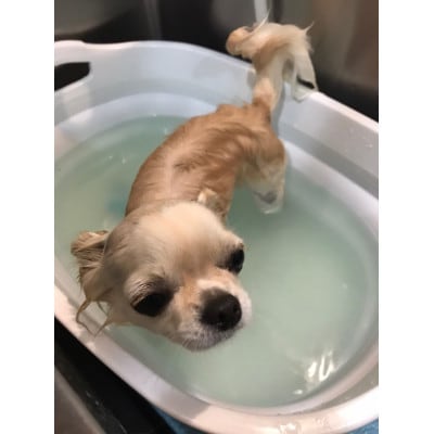 EM＆NEEM BATH  200ml