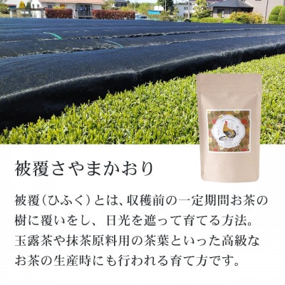 狭山茶リーフセット　ひるい(選りすぐり煎茶3種セット)