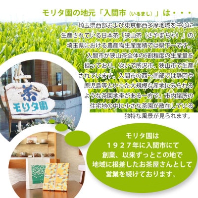 深蒸し茶100g×10袋+TB 2袋　狭山茶産地からお届け　心和む香りの強火仕上げ