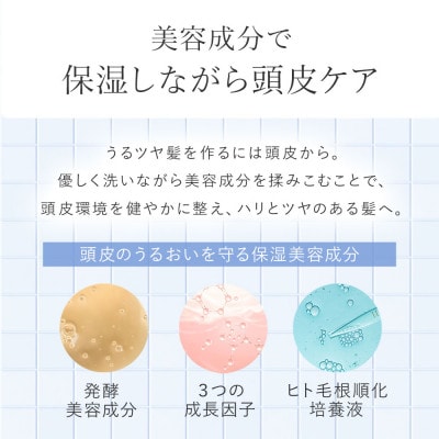 〈2本セット〉モイスチャーシャンプー