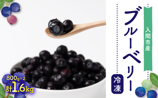 ブルーベリー冷凍　1.6kg【配送不可地域：離島】