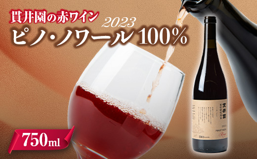 2023 赤ワイン　ピノ・ノワール100%　1本　貫井園のワイン