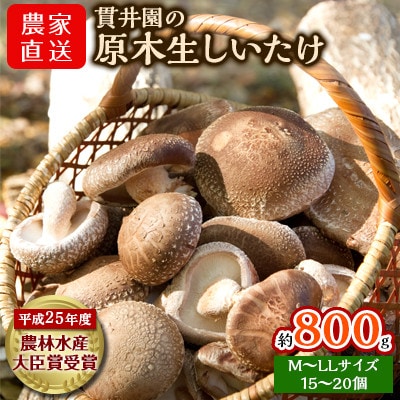 貫井園の原木生しいたけ　約800g【配送不可地域：離島】