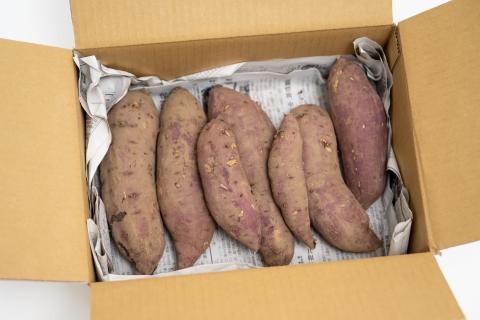 江戸時代から続く北本のサツマイモ 3kg【さつまいも さつま芋 紅はるか 甘い スイーツ 農家 農福連携 きふと】