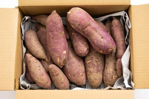 江戸時代から続く北本のサツマイモ 5kg【さつまいも さつま芋 紅はるか 甘い スイーツ 農家 農福連携】