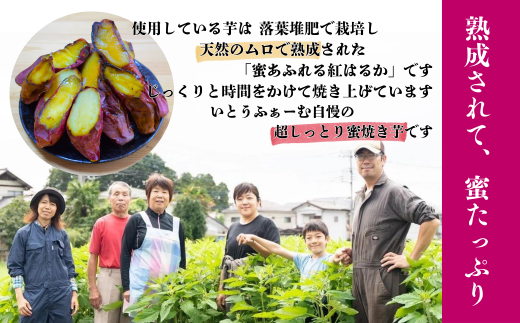 冷凍 蜜 ねっとり焼き芋 紅はるか 5～7本 (約1.5kg) | 蜜あふれる 埼玉県 北本市 石焼き芋 いしやきいも ヤキイモ 焼きイモ さつまいも サツマイモ さつま芋 ねっとり しっとり 真空パック 天然ムロ貯蔵 熟成 べにはるか ベニハルカ 蜜 落葉堆肥 健康 朝食 筋トレ 腸活 ダイエット 国産 農家直送  通常品 5～7本（約1.5kg）