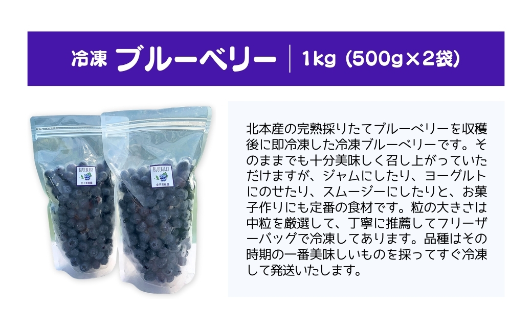 ブルーベリー 冷凍 2袋 (500g✕2) 計 1kg