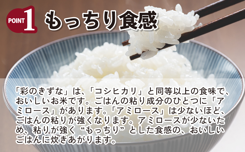 米 白米 【令和7年産米】埼玉県ブランド米 10kg 彩のきずな (5kg×2袋)