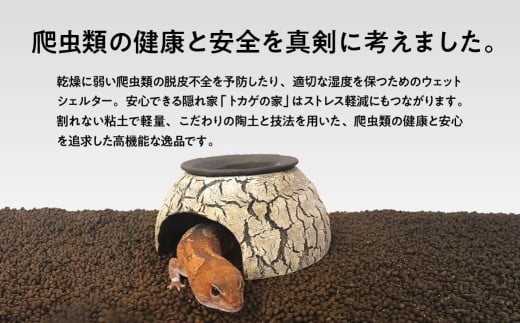 トカゲの家 ウェットシェルター 赤 爬虫類 | ペット トカゲ とかげ ペット用品 爬虫類用 シェルター 隠れ家 飼育用品 家 カビ抑制 観察 陶器 おしゃれ おうち デザイン 飼育 黒地 レオパードゲッコー レオパ フトアゴ イモリ カエル ヘビ 脱皮 作家 アーティスト ギフト 作品 陶芸家 手仕事 インテリア オブジェ 自然 ナチュラル レッド red セキグチタカヒト 埼玉県 北本市 Fireball(赤)